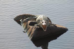 #krugerbig5safaris