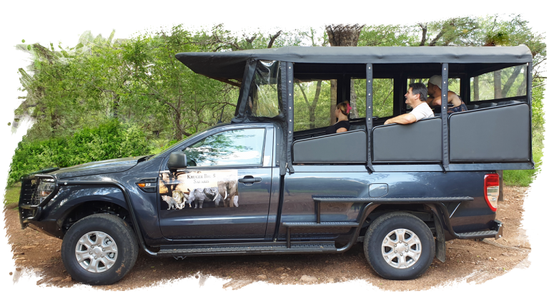 #krugerbig5safaris