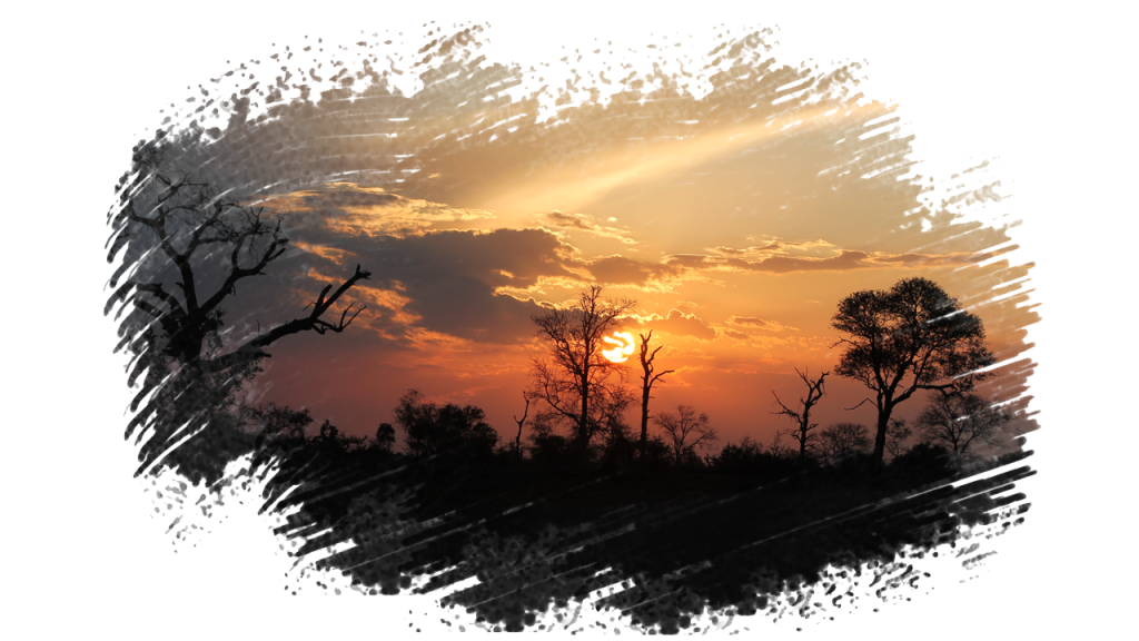 #krugerbig5safaris